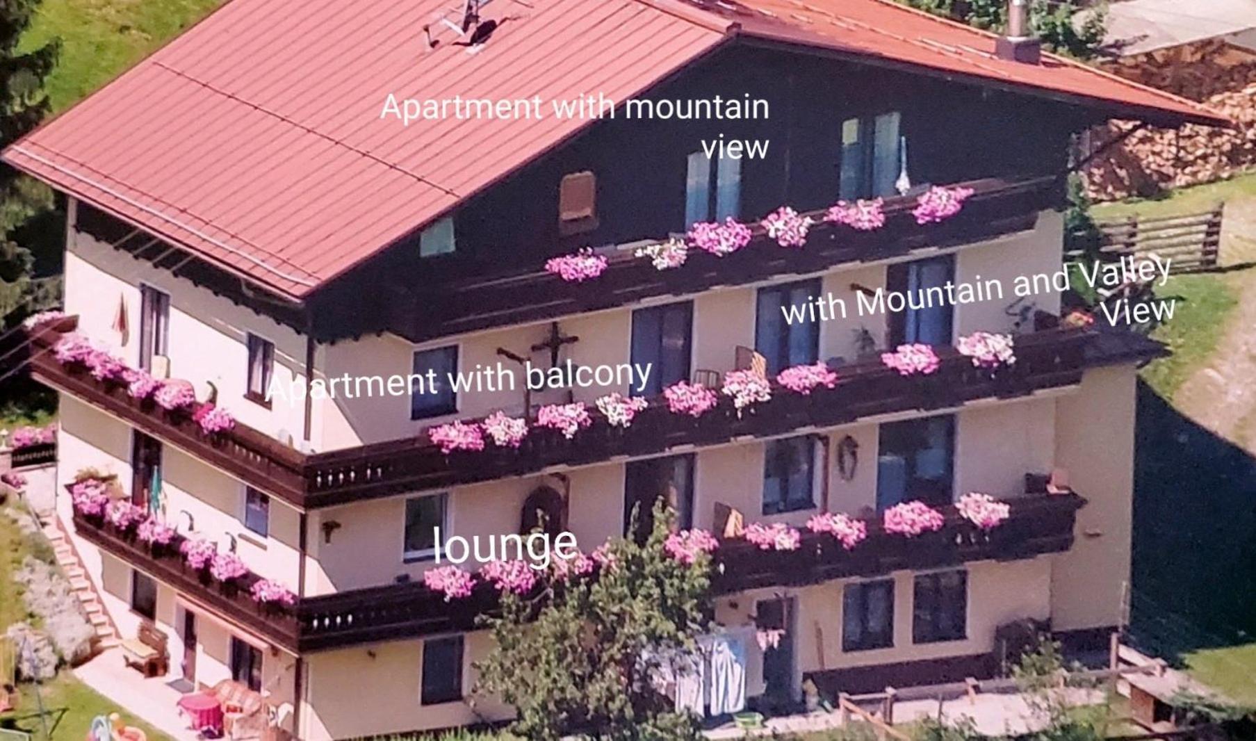 Urlaub Am Krausberghof, Apartment Mit Balkon Und Parkplatz, Inmitten Der Natur, Sauna Und Infrarotkabine, Kostenfreie Kaffeekapseln, 6 Fahrminuten Zur Alpentherme Gastein Und Zur Schlossalmbahn, Spielplatz Бад Хофгаштайн Экстерьер фото