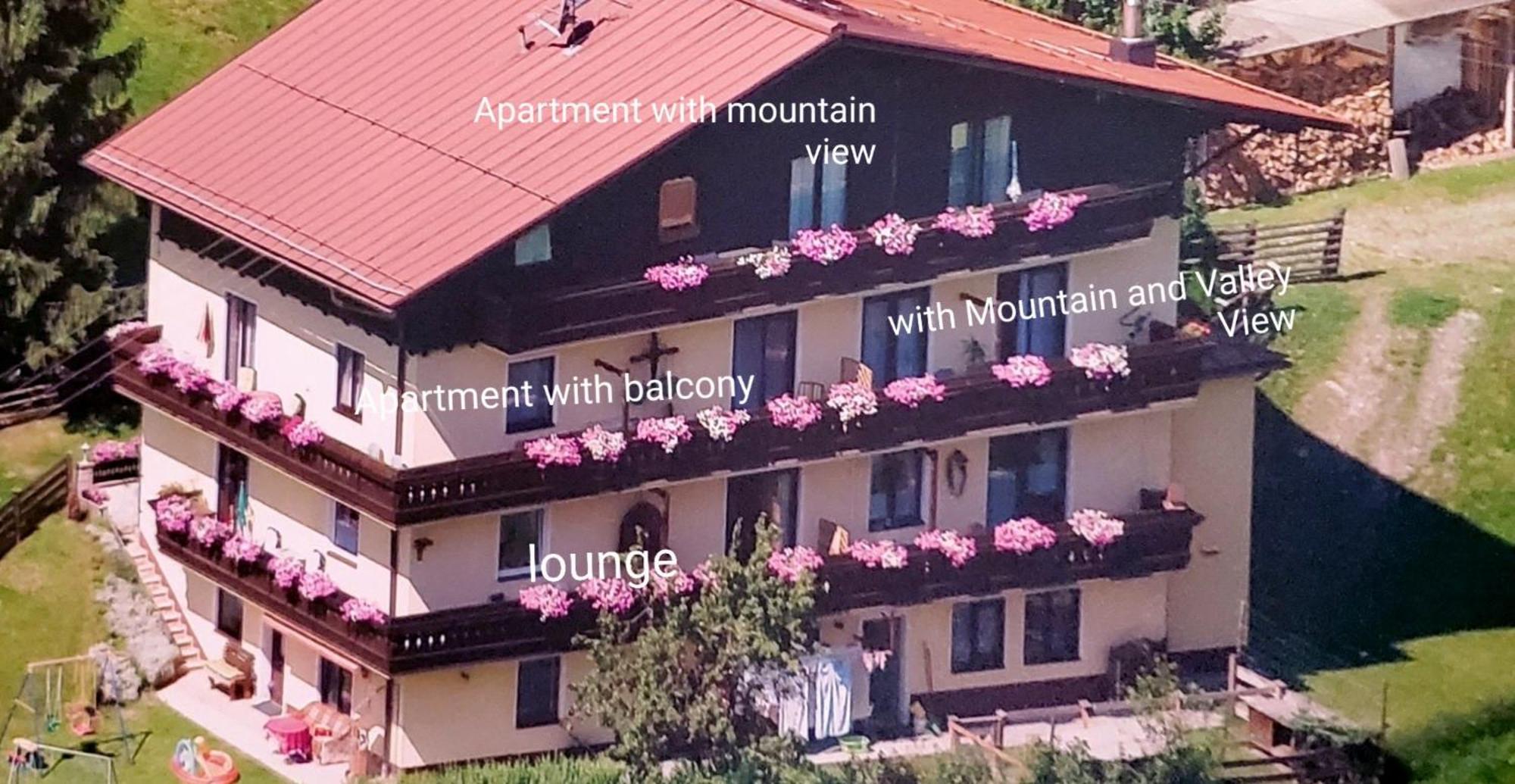 Urlaub Am Krausberghof, Apartment Mit Balkon Und Parkplatz, Inmitten Der Natur, Sauna Und Infrarotkabine, Kostenfreie Kaffeekapseln, 6 Fahrminuten Zur Alpentherme Gastein Und Zur Schlossalmbahn, Spielplatz Бад Хофгаштайн Экстерьер фото